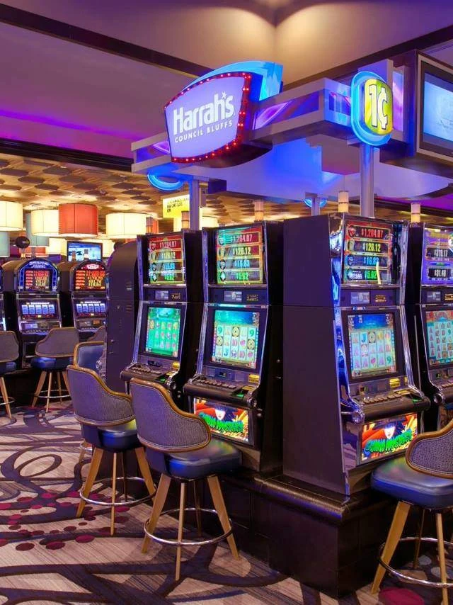 Ảnh minh họa RH88 – Theo dõi nhịp chơi slot có kiểm soát tại RH88