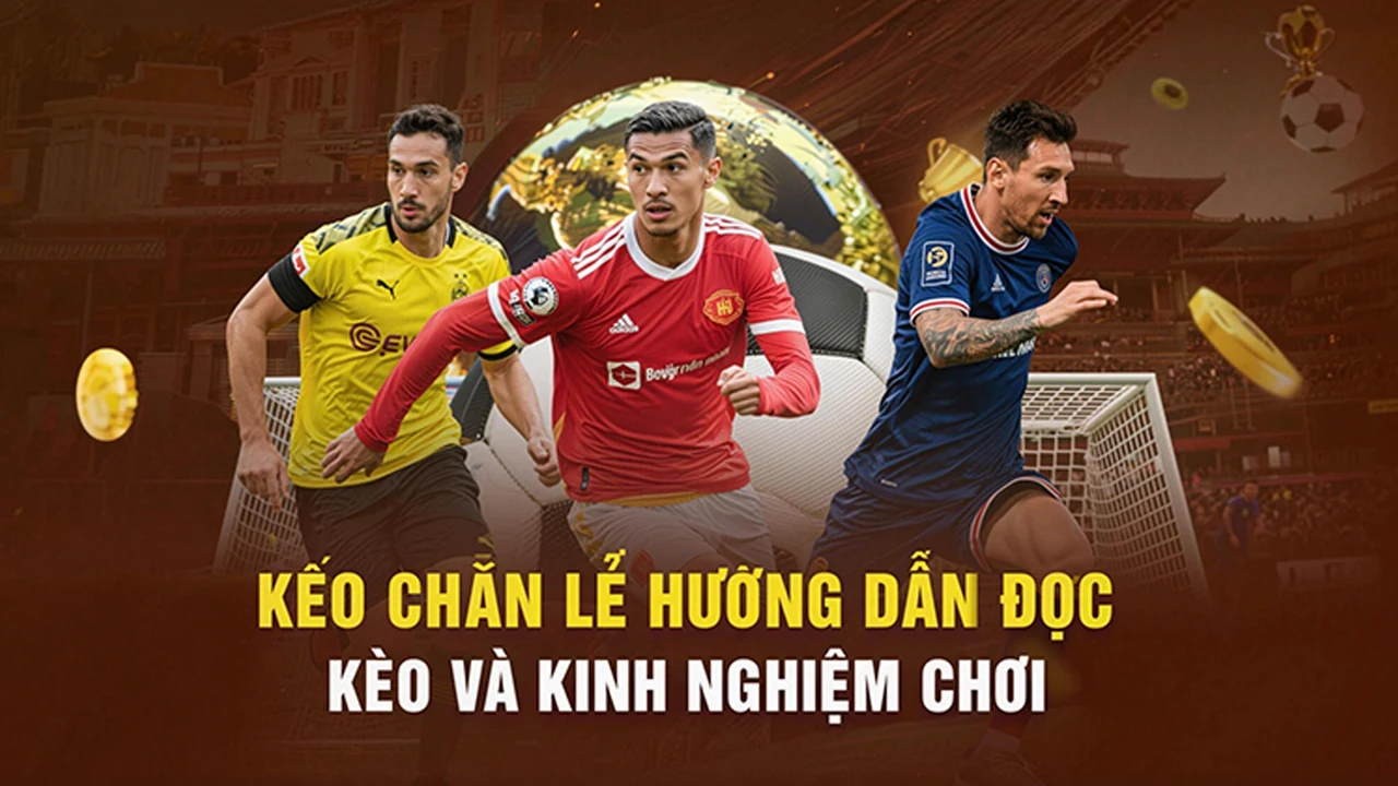 Thể thao trên RH88 – bước kiểm tra thực tế
